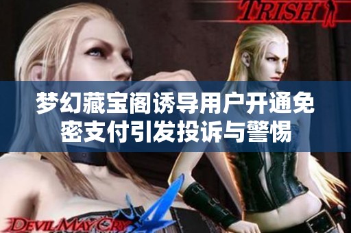 梦幻藏宝阁诱导用户开通免密支付引发投诉与警惕