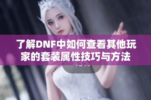 了解DNF中如何查看其他玩家的套装属性技巧与方法