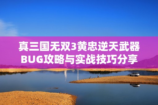 真三国无双3黄忠逆天武器BUG攻略与实战技巧分享