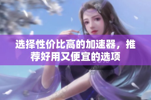 选择性价比高的加速器，推荐好用又便宜的选项