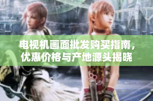 电视机画面批发购买指南，优惠价格与产地源头揭晓