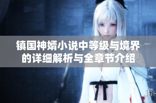 镇国神婿小说中等级与境界的详细解析与全章节介绍