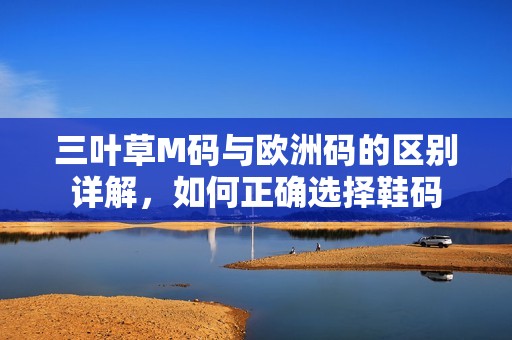 三叶草M码与欧洲码的区别详解，如何正确选择鞋码