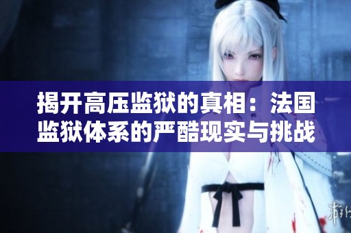揭开高压监狱的真相：法国监狱体系的严酷现实与挑战