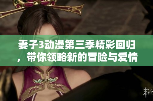 妻子3动漫第三季精彩回归，带你领略新的冒险与爱情故事