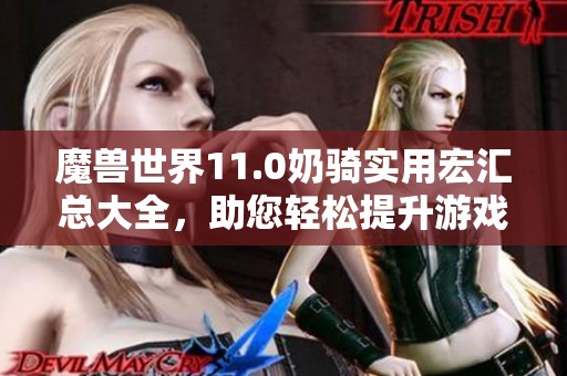 魔兽世界11.0奶骑实用宏汇总大全，助您轻松提升游戏实力