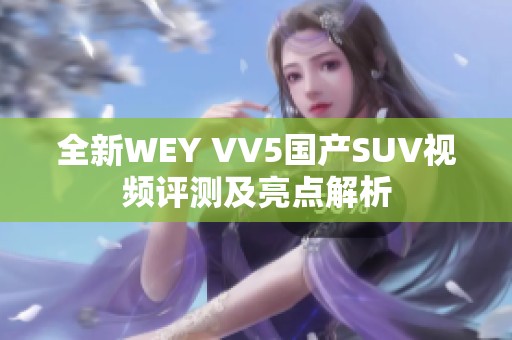 全新WEY VV5国产SUV视频评测及亮点解析