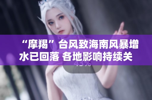 “摩羯”台风致海南风暴增水已回落 各地影响持续关注