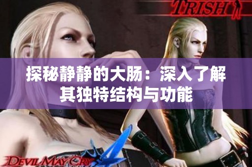 探秘静静的大肠：深入了解其独特结构与功能