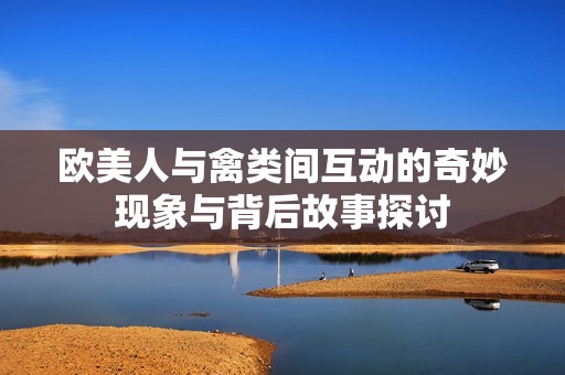 欧美人与禽类间互动的奇妙现象与背后故事探讨