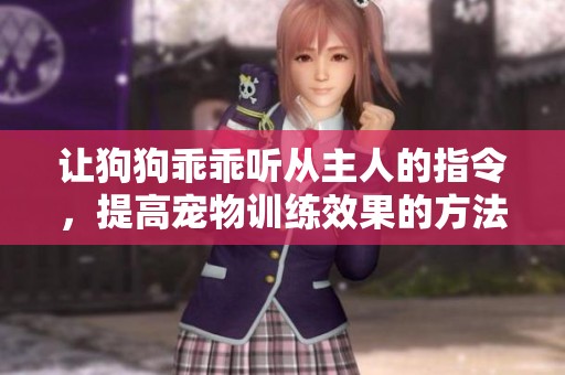 让狗狗乖乖听从主人的指令，提高宠物训练效果的方法