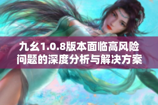 九幺1.0.8版本面临高风险问题的深度分析与解决方案