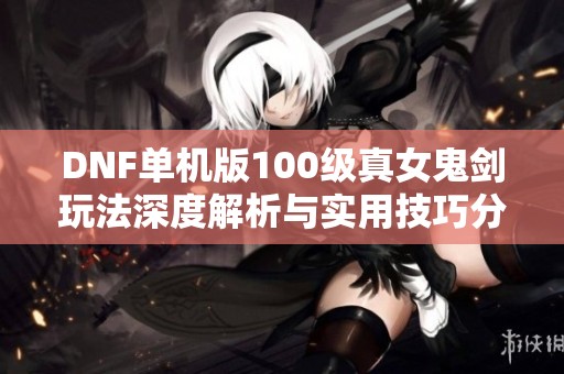DNF单机版100级真女鬼剑玩法深度解析与实用技巧分享