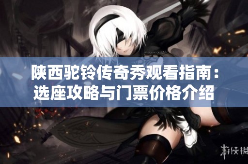陕西驼铃传奇秀观看指南：选座攻略与门票价格介绍