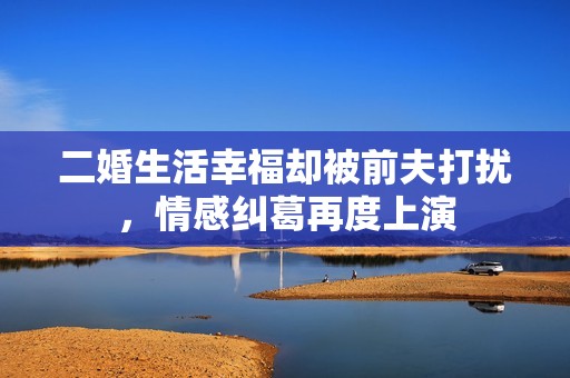 二婚生活幸福却被前夫打扰，情感纠葛再度上演