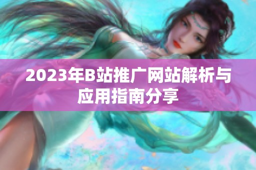 2023年B站推广网站解析与应用指南分享