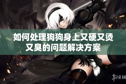如何处理狗狗身上又硬又烫又臭的问题解决方案