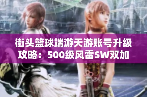 街头篮球端游天游账号升级攻略：500级风雷SW双加玩法解析