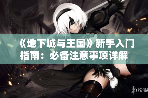 《地下城与王国》新手入门指南：必备注意事项详解