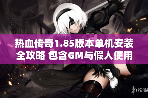 热血传奇1.85版本单机安装全攻略 包含GM与假人使用技巧