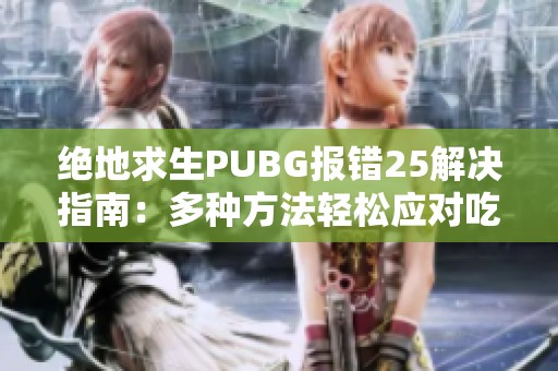 绝地求生PUBG报错25解决指南：多种方法轻松应对吃鸡问题