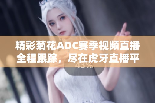 精彩菊花ADC赛季视频直播全程跟踪，尽在虎牙直播平台