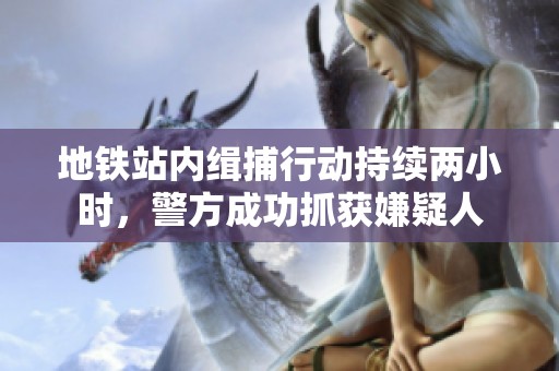 地铁站内缉捕行动持续两小时，警方成功抓获嫌疑人