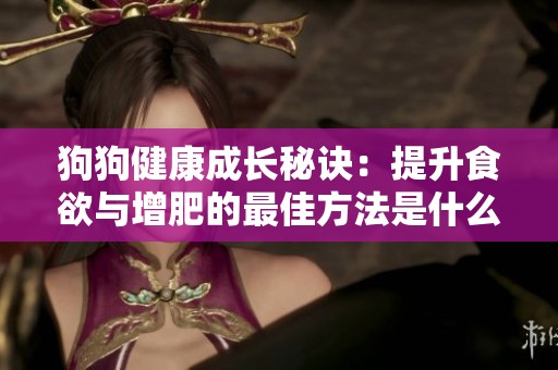 狗狗健康成长秘诀：提升食欲与增肥的最佳方法是什么