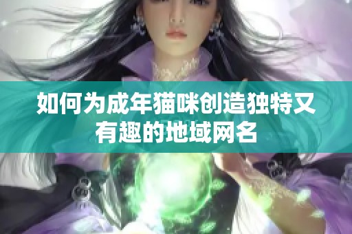 如何为成年猫咪创造独特又有趣的地域网名