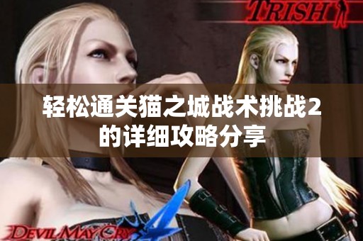 轻松通关猫之城战术挑战2的详细攻略分享