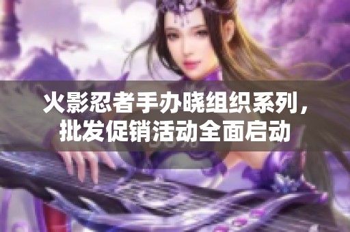 火影忍者手办晓组织系列，批发促销活动全面启动