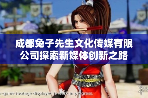成都兔子先生文化传媒有限公司探索新媒体创新之路
