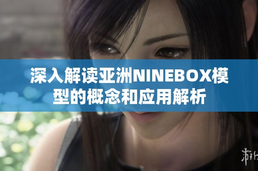 深入解读亚洲NINEBOX模型的概念和应用解析