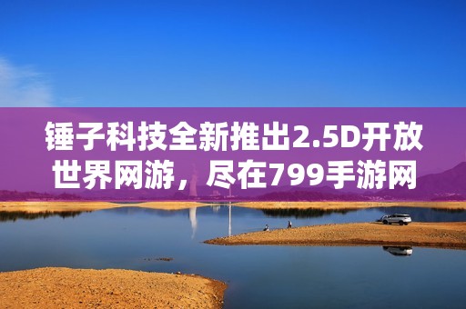 锤子科技全新推出2.5D开放世界网游，尽在799手游网探秘