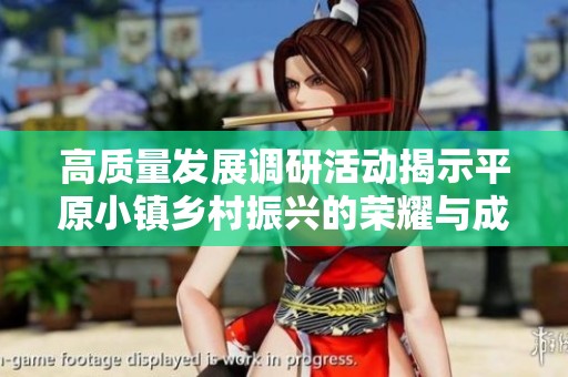 高质量发展调研活动揭示平原小镇乡村振兴的荣耀与成就