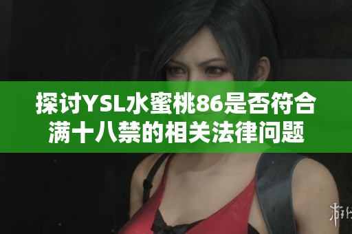 探讨YSL水蜜桃86是否符合满十八禁的相关法律问题