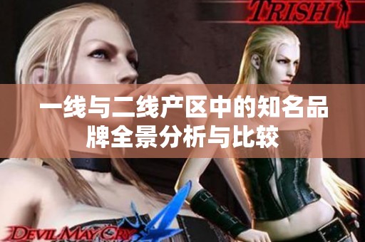 一线与二线产区中的知名品牌全景分析与比较