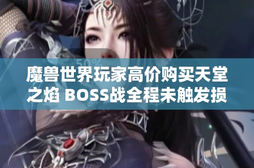 魔兽世界玩家高价购买天堂之焰 BOSS战全程未触发损失惨重