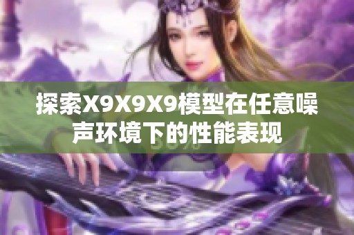 探索X9X9X9模型在任意噪声环境下的性能表现