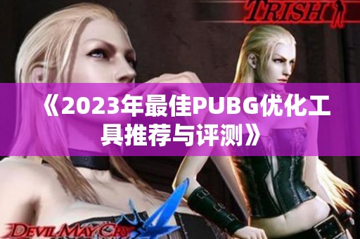 《2023年最佳PUBG优化工具推荐与评测》