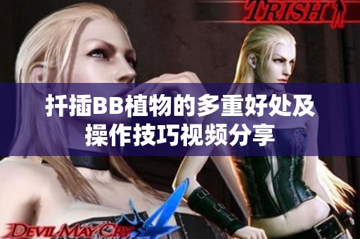 扦插BB植物的多重好处及操作技巧视频分享