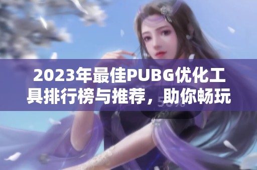 2023年最佳PUBG优化工具排行榜与推荐，助你畅玩射击游戏