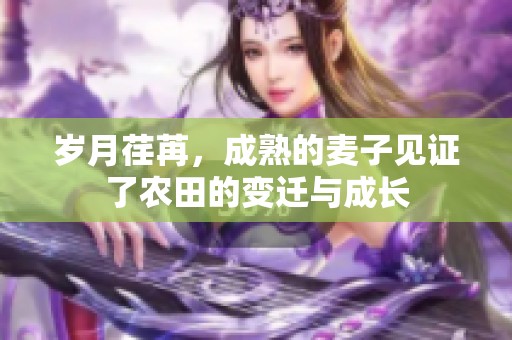 岁月荏苒，成熟的麦子见证了农田的变迁与成长