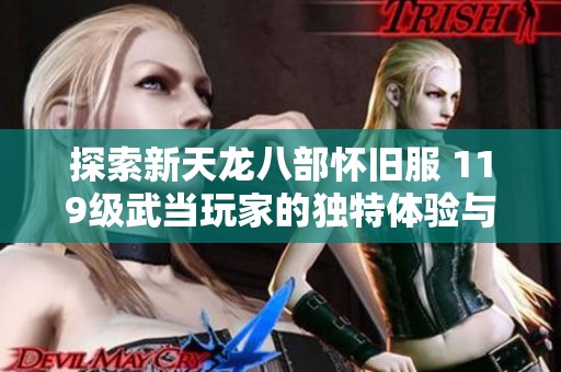 探索新天龙八部怀旧服 119级武当玩家的独特体验与心得