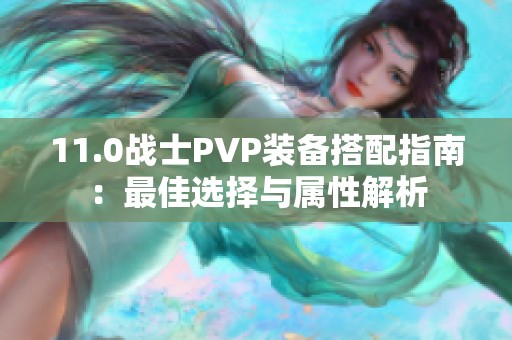 11.0战士PVP装备搭配指南：最佳选择与属性解析