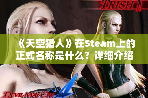 《天空猎人》在Steam上的正式名称是什么？详细介绍分享！