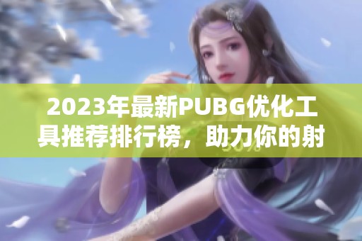 2023年最新PUBG优化工具推荐排行榜，助力你的射击游戏体验