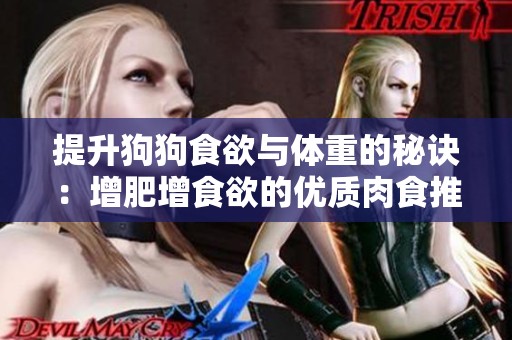 提升狗狗食欲与体重的秘诀：增肥增食欲的优质肉食推荐