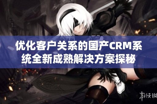 优化客户关系的国产CRM系统全新成熟解决方案探秘