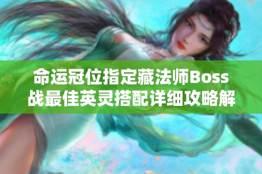 命运冠位指定藏法师Boss战最佳英灵搭配详细攻略解析